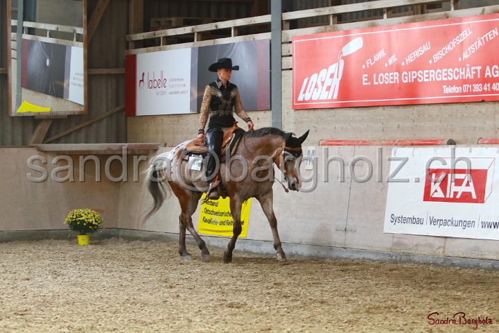 31-ApHC OWP_029.jpg